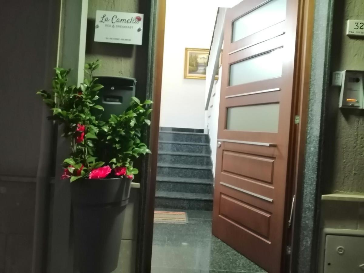 B&B La Camelia Santeramo in Colle Εξωτερικό φωτογραφία